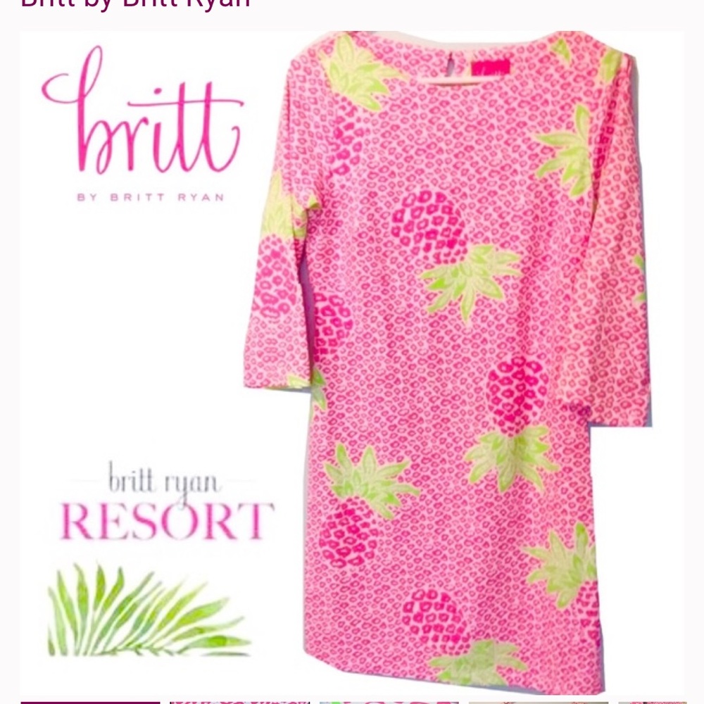 🍍 Britt by Britt Ryan Pineapple Print Dress 🍍
